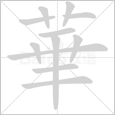 華名字意思|華的解釋